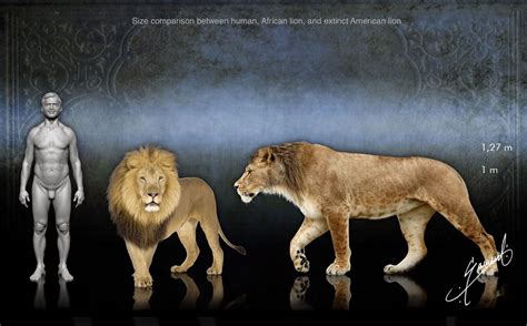 how are lions similar to humans
